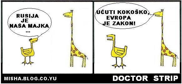 žirafa strip 01.jpg, 31 KB