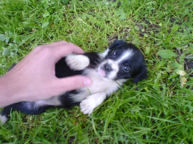 DSC01.JPG, 324 KB