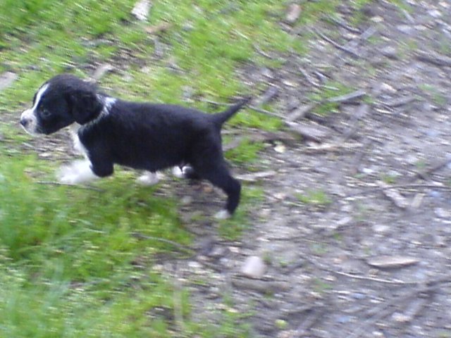 DSC03.JPG, 237 KB