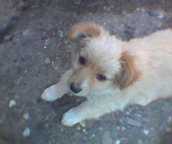 Tedy 6.JPG, 13 KB
