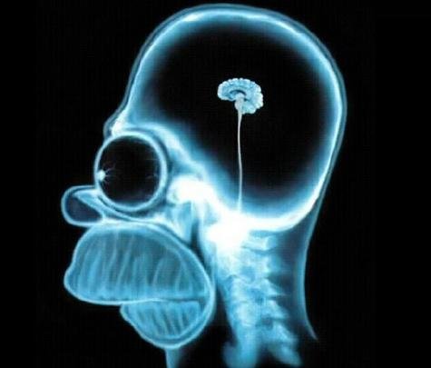homer simpson mozak xd.JPG, 18 KB