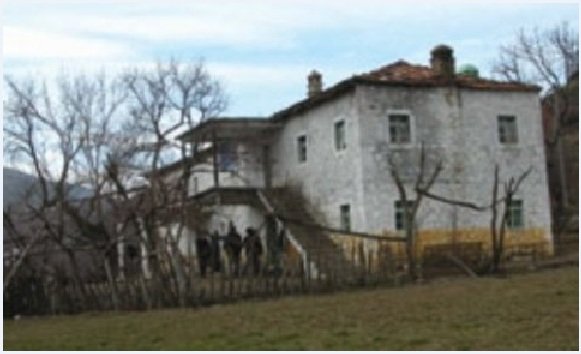 zuta kuca krvave boje.jpg, 56 KB