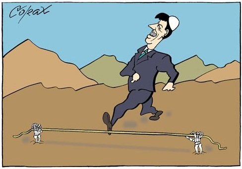 zuta kuca trgovina organima taci corax misha.blog.rs.jpg, 43 KB